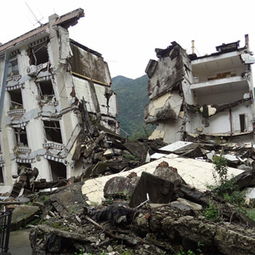 楼房坍塌谁负主要责任