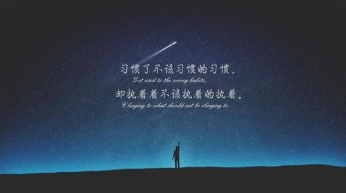 付出真心后失望的句子