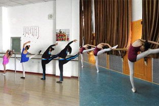 形体基本功训练教程，形体基本功训练教程全课程视频