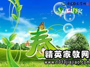 描写森林的优美句子，描写森林的优美句子和段落