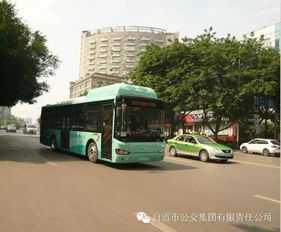 安全驾驶心得体会200字，驾驶员心得体会范文300