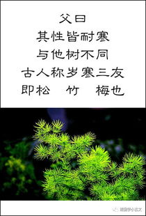 小古文18《岁寒三友》内容是什么?