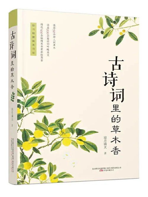 带叶的诗句，带夜的诗句