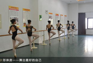 中老年形体舞蹈视频教程