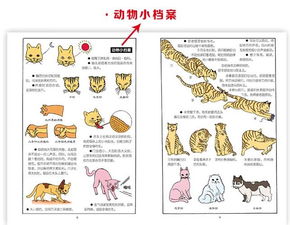 带有绕字的成语