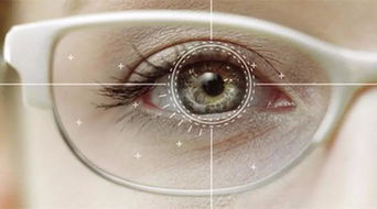 眼睛用英语怎么说