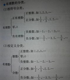 有理数包括哪些数?