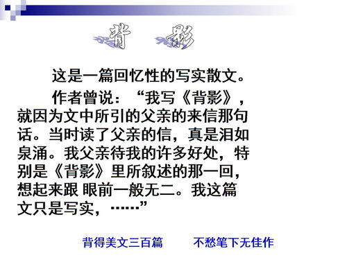 小心的反义词是什么