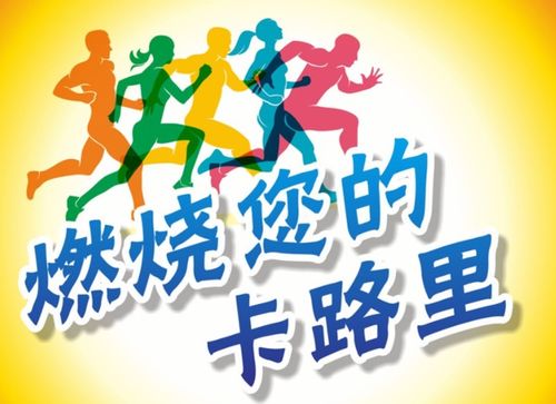 1500千焦是多少大卡等于多少米饭