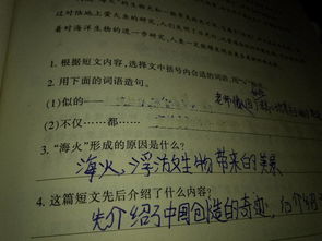 用不仅而且造句子