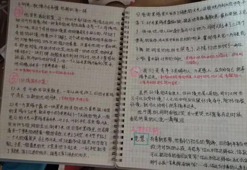 六年级读书笔记，六年级读书笔记鲁滨逊漂流记