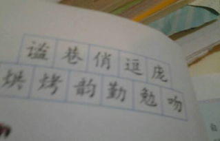 蹲的拼音组词部首偏旁