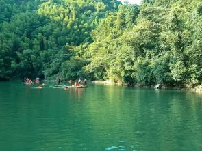 “青山不改绿水长流”的下一句是什么?