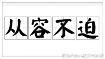 从容什么什么成语