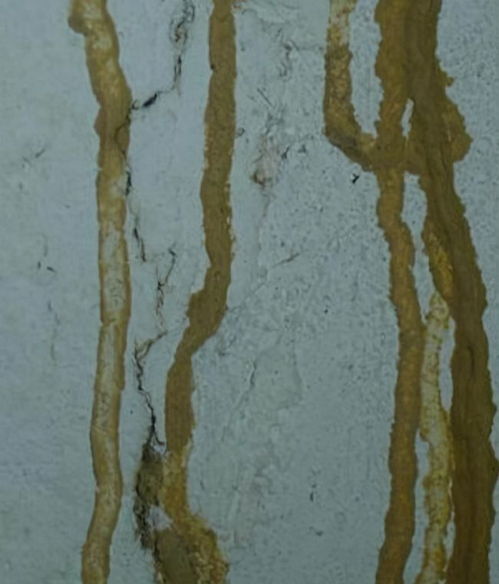 屋漏痕名词解释，屋漏痕笔法示范