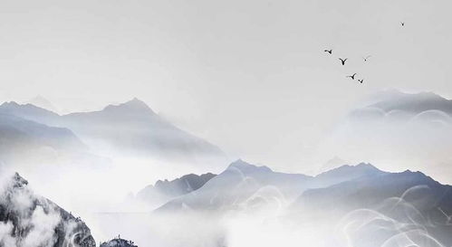 飞鸿印雪是什么意思