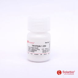 胰蛋白酶的作用是什么?治疗什么病?