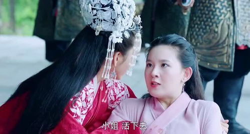 公子太子世子王子的区别是什么