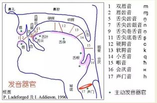 手势的读音手势的读音是什么