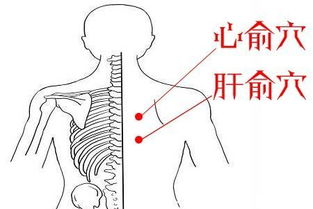 穴怎么读?