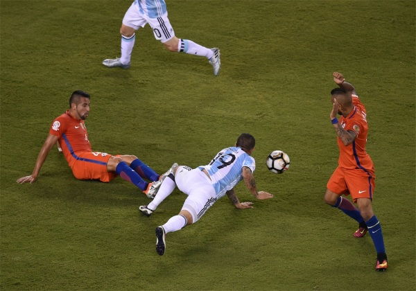 人仰马翻意思指什么动物，人仰马翻意思解释