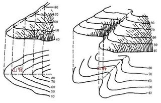 嵴怎么读音是什么