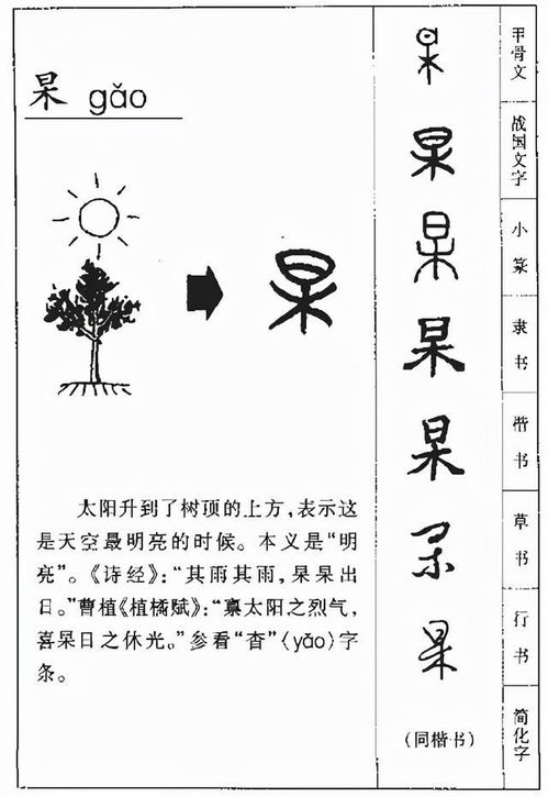 杲这个字怎么读
