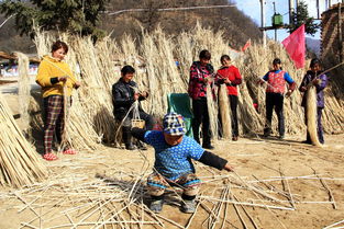 被誉为丝绸之城的城市是哪个?