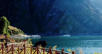 瑶池是比喻的什么，瑶池是什么意思?