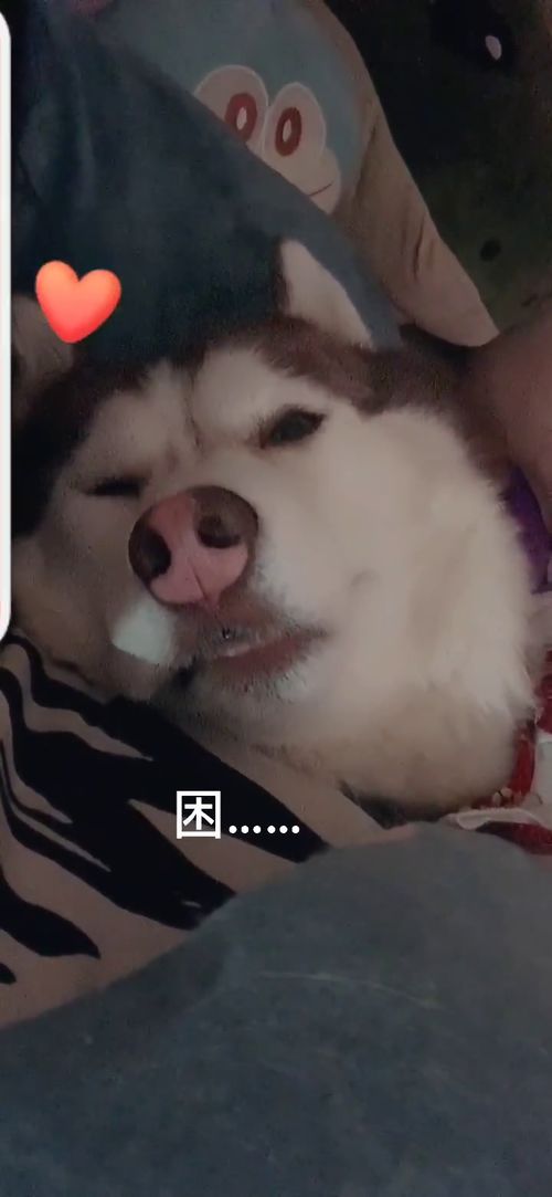 哼哼唧唧什么意思?出处是哪里?