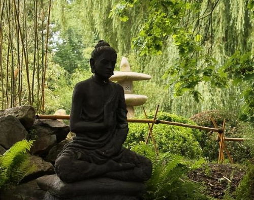 囊能组什么词语，惠能组什么词儿