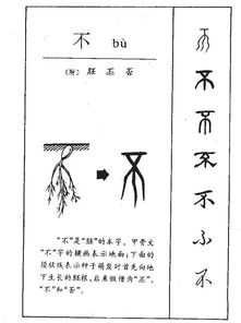 否拼音是什么