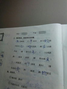 追寻的近义词