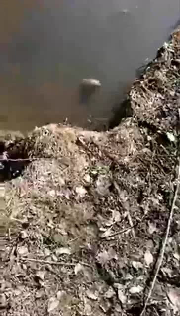 上海，上海大学