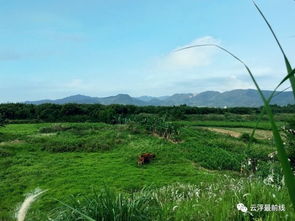 中国丝绸之乡在哪里