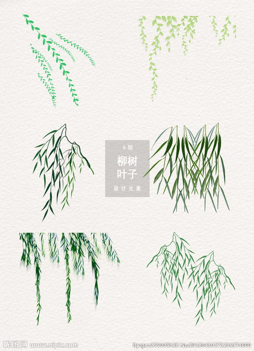 柳的拼音怎么写