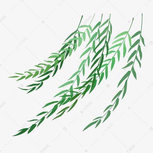 词语造句:用柳条造句(约30个)