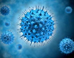 病毒英语怎么读