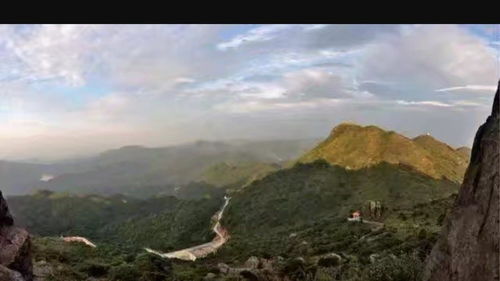 成语: 调虎离山的意思,典故及详细解释