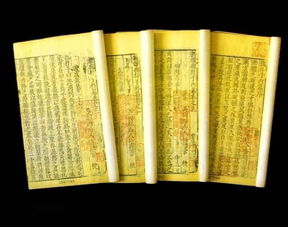 草字头加个“设”念什么?