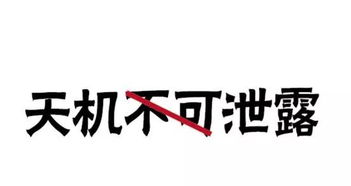 天机不可泄露什么意思