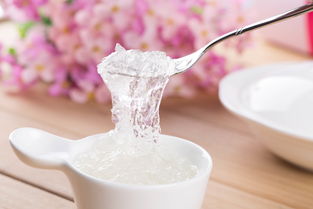 燕窝菜的意思燕窝菜的意思是什么