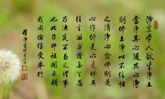 虚妄[xū wàng]什么意思?近义词和反义词是什么?英文翻译是什么?_百度