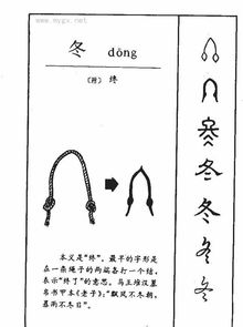 冬拼音怎么拼写