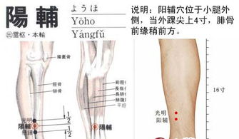 窟窿的读音，窥的读音