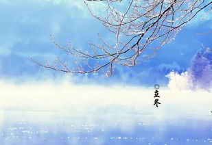 应个景是什么意思?