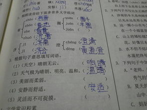 贤惠的惠能组什么四字词?