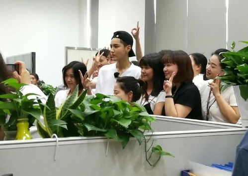 阒无一人与茕茕孑立的区别，阒无一人造句