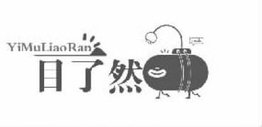 一目了然什么意思?