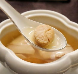 瑶柱是什么东东